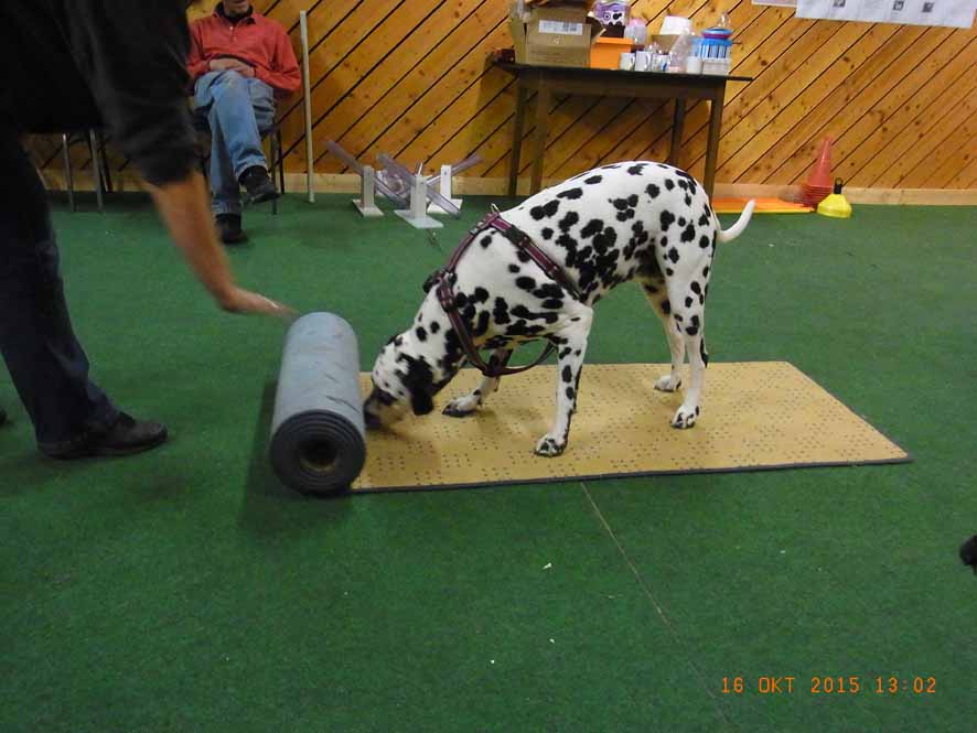 Teppichrolle - Fleckerl1.jpg (886 x 665)